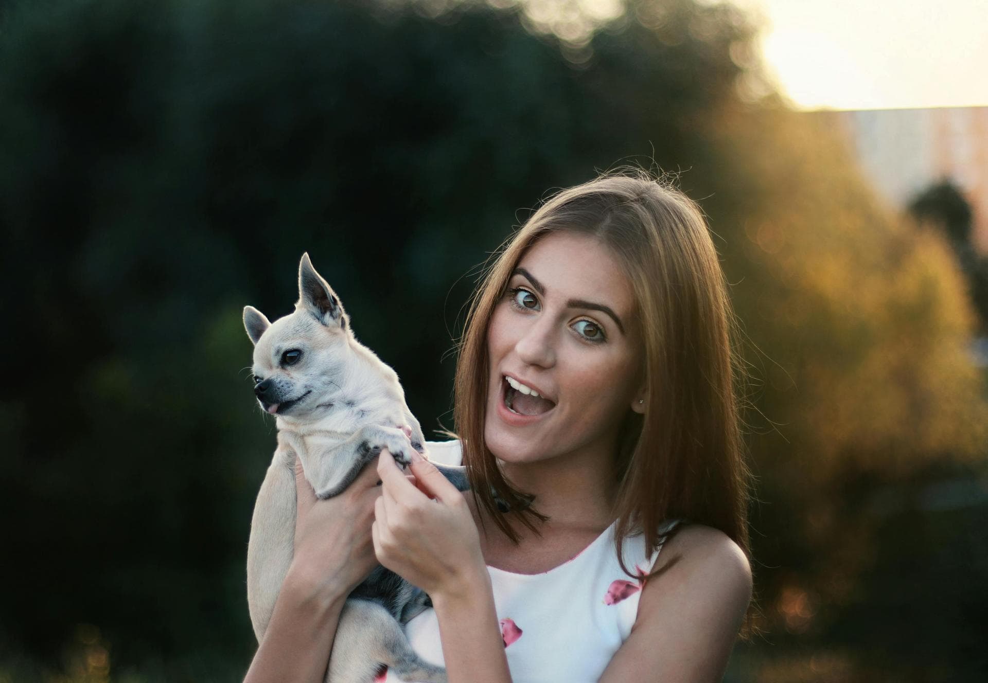 Pet Microchipping Prices in Wiltshire